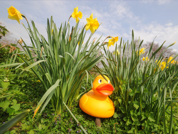 Gloucestershire Easter guide 2022 in Cheltenham, Cotswolds, Forest of Dean, Gloucester, Stroud 