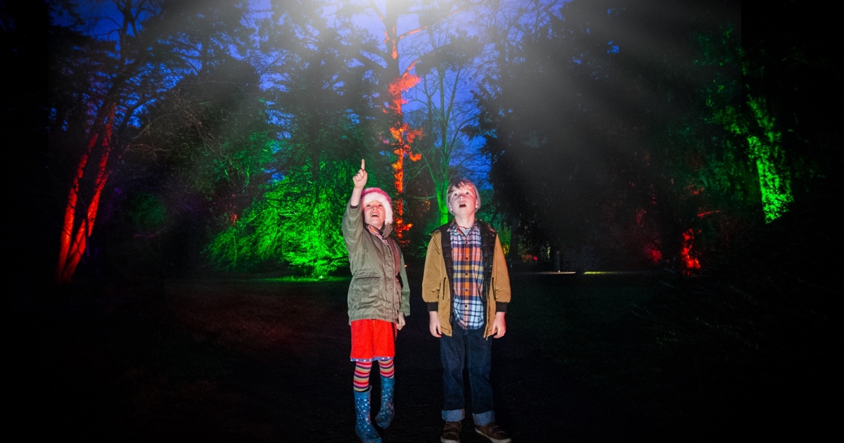 Win tickets to Westonbirt Arboretum's Enchanted Christmas and a