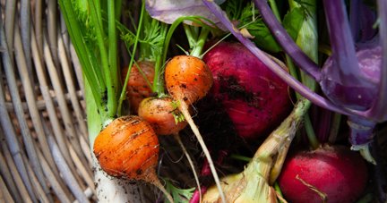 12 Gloucestershire new openings you might have missed in October 2025