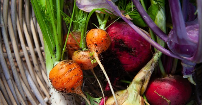 12 Gloucestershire new openings you might have missed in October 2025