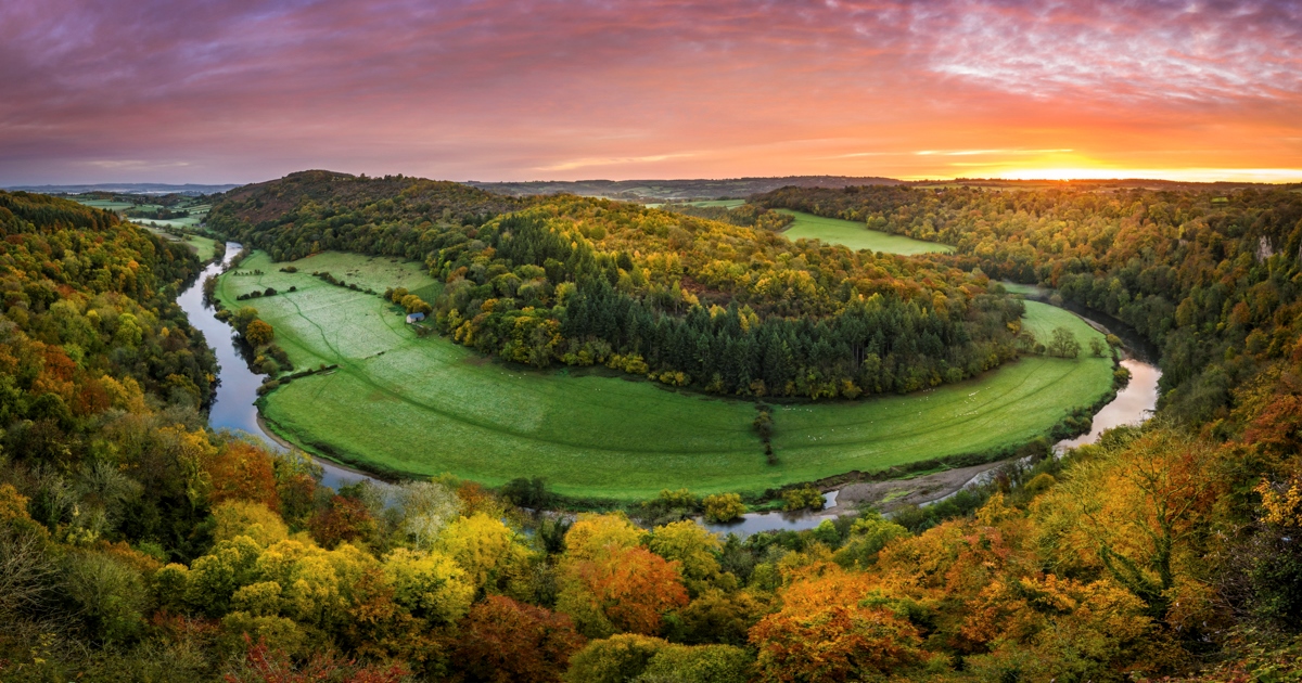 How To Make The Most Of Autumn In The Forest Of Dean   Sg Outdoors Howtomakethemostofautumnintheforestofdean Forestofdeandistrictcouncil 2022 Interview 