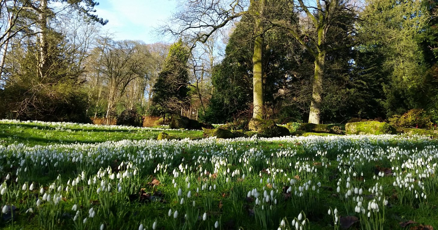 are dogs allowed in batsford arboretum