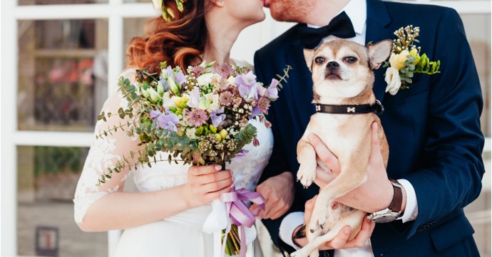 10 gorgeous Gloucestershire wedding suppliers to make your big day extra special